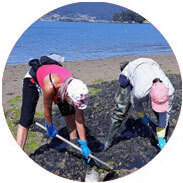 pescaturismogalicia.es excursiones con mariscadoras en Redondela Galicia