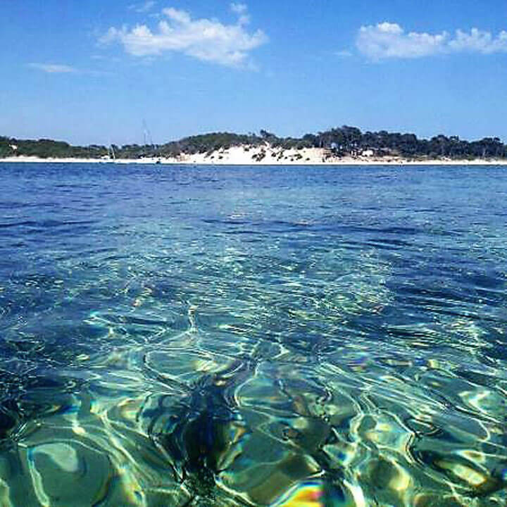 www.pescaturismemallorca.com excursions en vaixell isla Moltona Mallorca