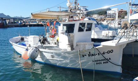 www.pescaturismemallorca.com excursions en vaixell a Mallorca amb Hispaniola