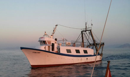pescaturismemallorca.com excursions en vaixell a Mallorca amb Domingo