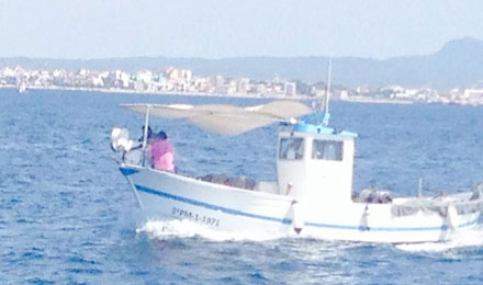 pescaturismemallorca.com excursions en vaixell a Mallorca amb Hermanos
