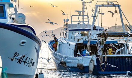 pescaturismespain.cat Vila Joiosa: Visita al Port