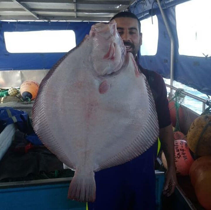 pescaturismespain.cat excursions de pesca a Sanxenxo Galícia