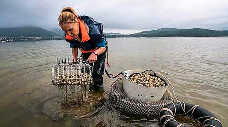 Excursions de pesca turisme a Galícia amb Pescaturisme